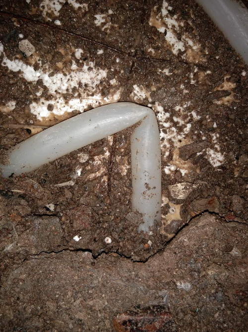 静宁堵点精准查找